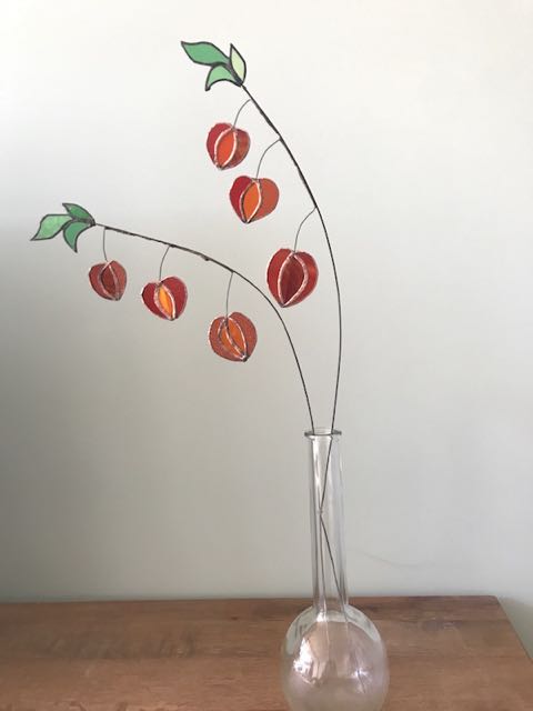 lampionplant, verkocht